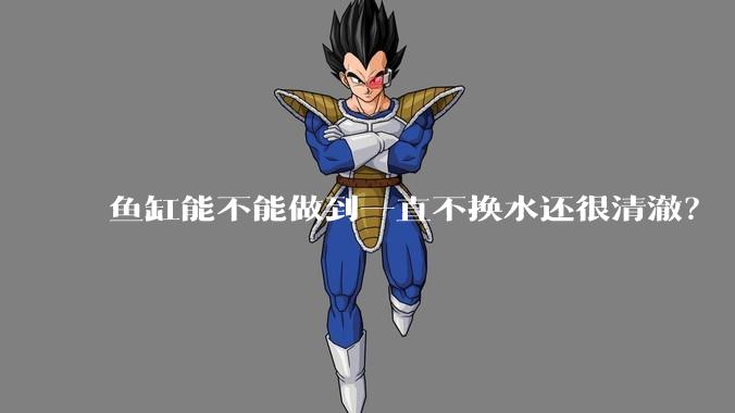鱼缸能不能做到一直不换水还很清澈？