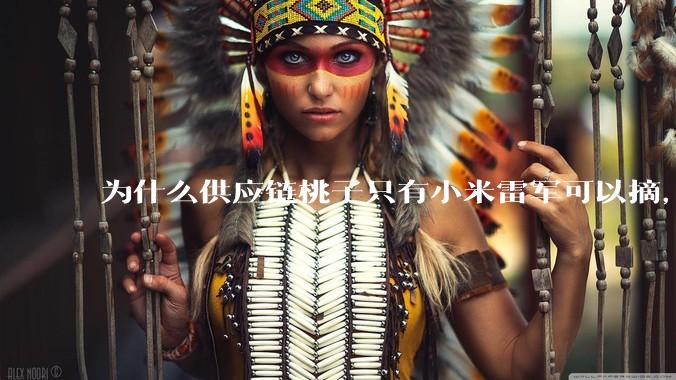 为什么供应链桃子只有小米雷军可以摘，其他人只能干瞪眼？