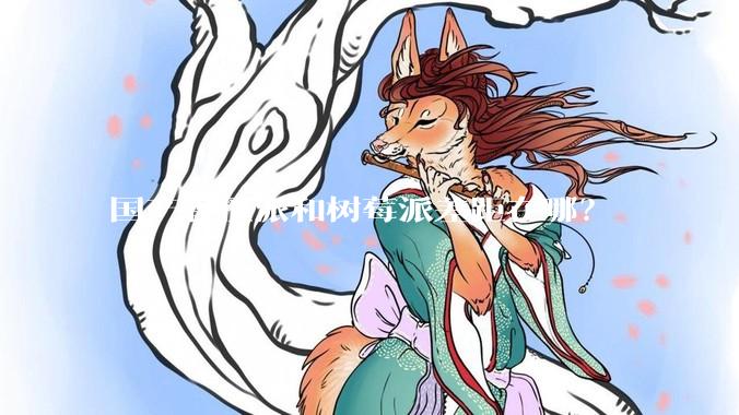 国产香橙派和树莓派差距在哪？