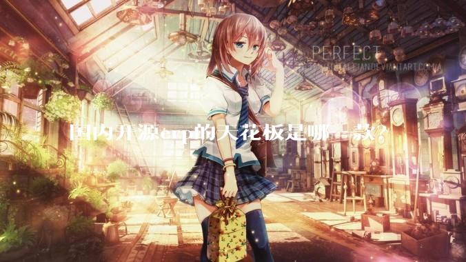 国内开源erp的天花板是哪一款？