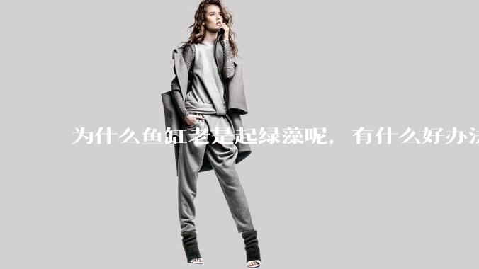 为什么鱼缸老是起绿藻呢，有什么好办法不用整天擦鱼缸？