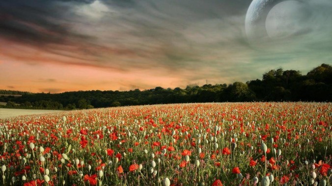 《诛仙》中有哪些捧腹大笑的剧情?